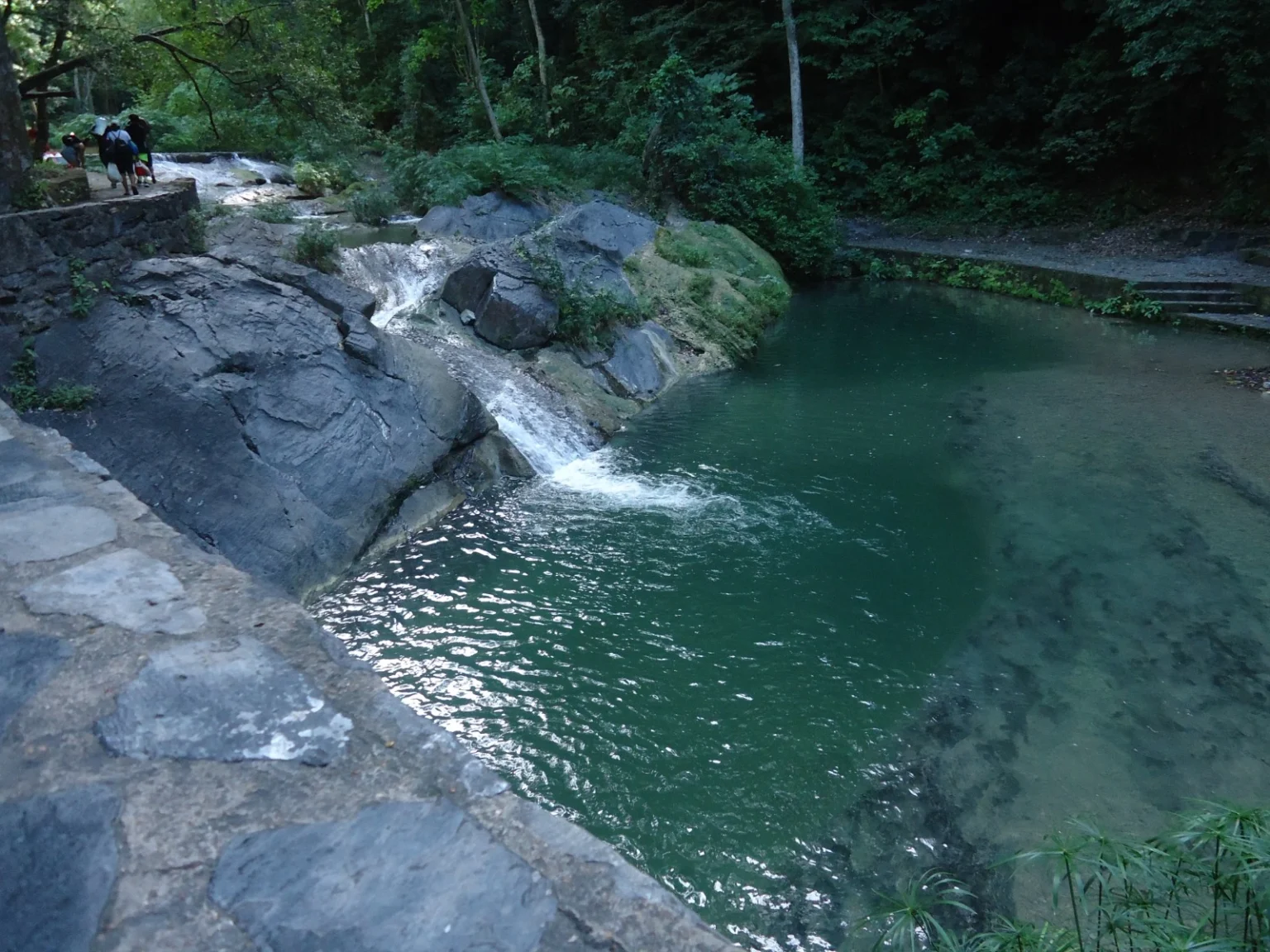 3 Parque Nacional La Sirena CATURANZ