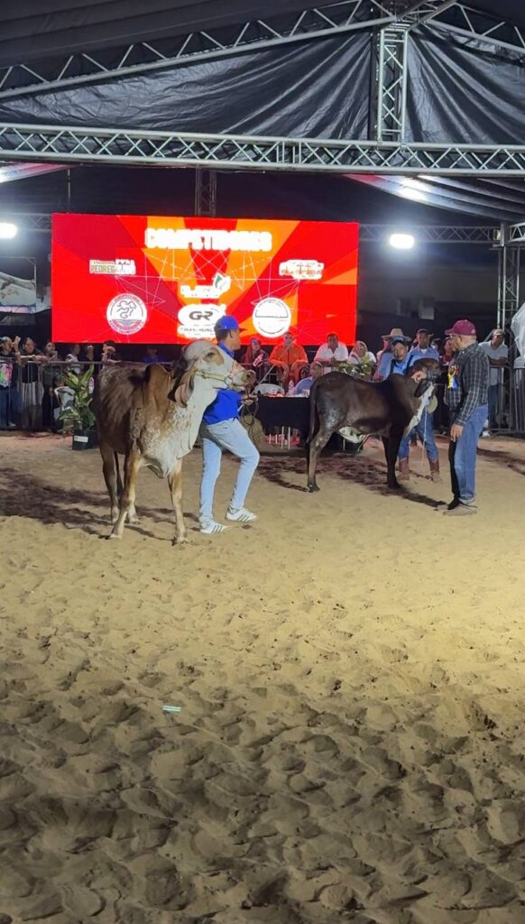 Vive la Feria de San Celestino en Barcelona, Anzoátegui 5 feria sancelestino 4